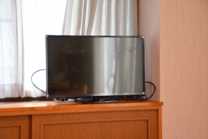 テレビ
